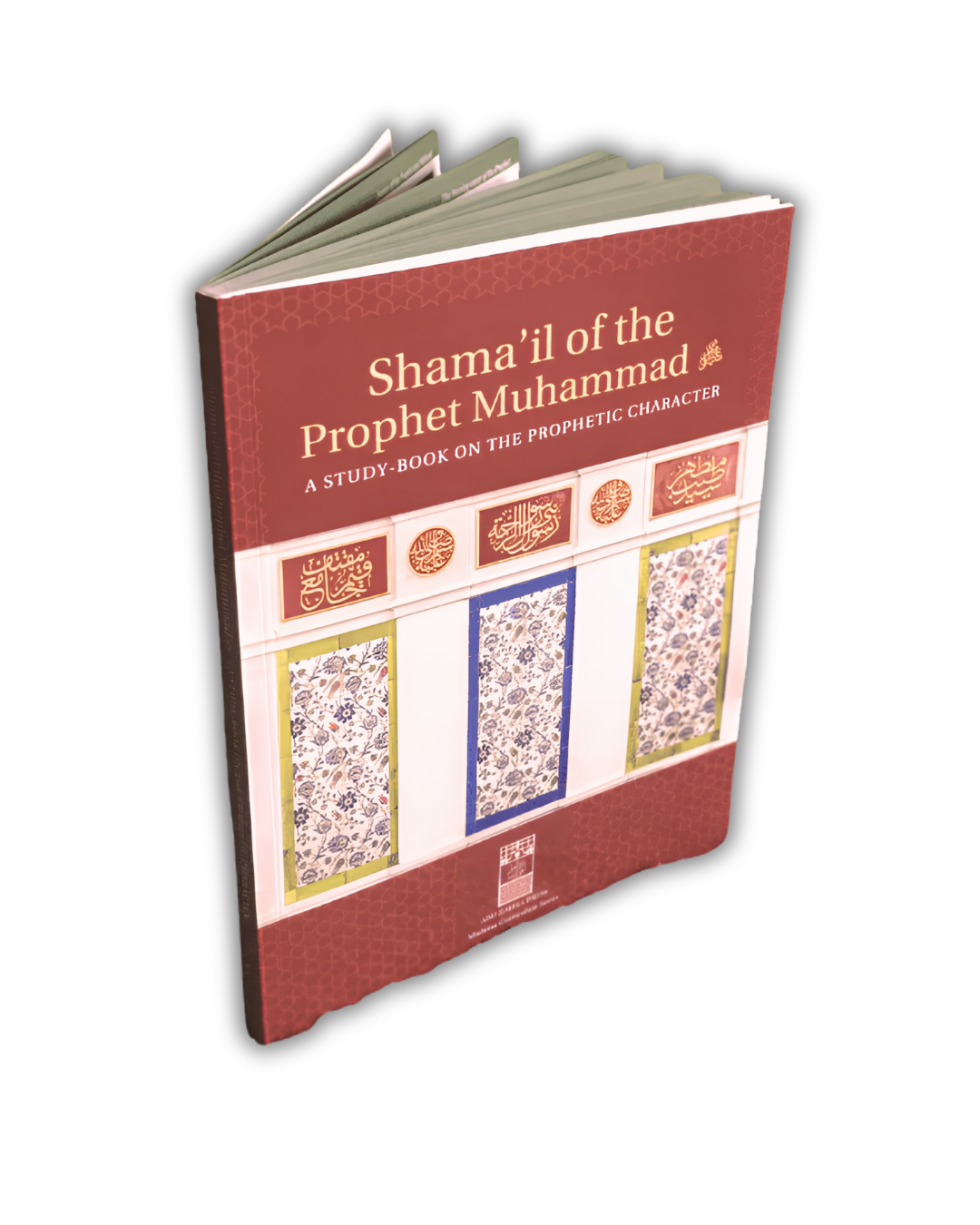 Youth Study Book: Shama&
