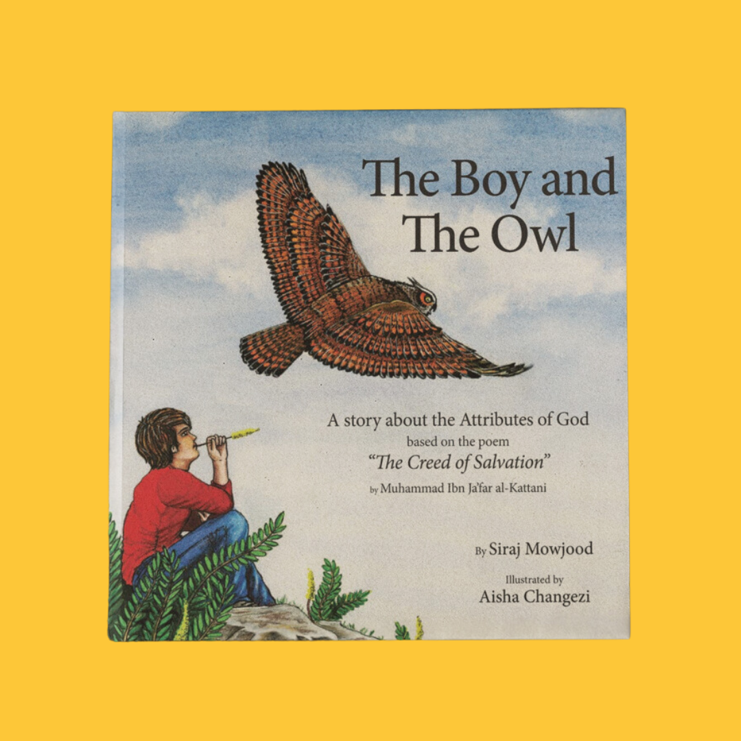 The Boy And The Owl