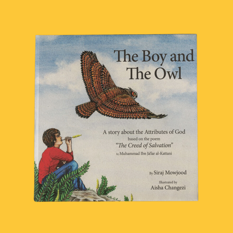 The Boy And The OWL